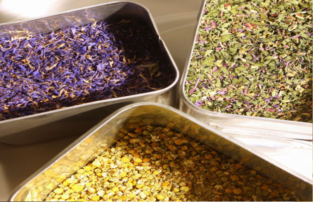 Landschafts Apotheke-Schwechat